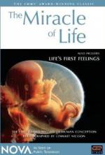 Watch The Miracle of Life Solarmovie