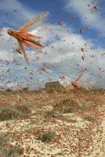 Watch Swarm Chasers: Locusts Solarmovie