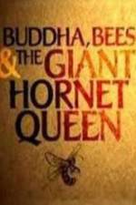 Watch Natural World Buddha Bees and the Giant Hornet Queen Solarmovie
