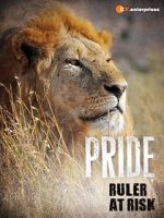 Watch Pride - Ruler\'s at Risk Solarmovie