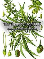 Watch The Hemp Conspiracy: The Most Powerful Plant in the World (Short 2017) Solarmovie