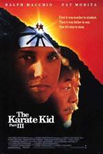 Watch The Karate Kid, Part III Solarmovie