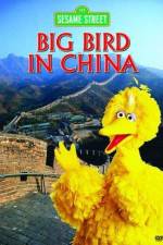 Watch Big Bird in China Solarmovie