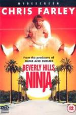 Watch Beverly Hills Ninja Solarmovie