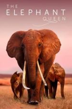 Watch The Elephant Queen Solarmovie