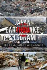 Watch Japan Aftermath of a Disaster Solarmovie
