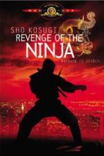 Watch Revenge of the Ninja Solarmovie