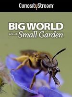 Watch Big World in a Small Garden (TV Short 2016) Solarmovie