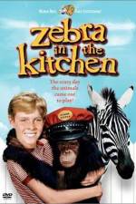 Watch Zebra in the Kitchen Solarmovie