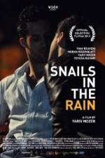 Watch Snails in the Rain Solarmovie