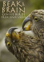 Watch Beak & Brain - Genius Birds from Down Under Solarmovie