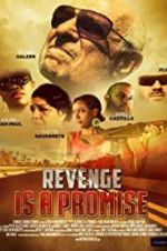 Watch Revenge Is a Promise Solarmovie