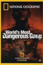 Watch National Geographic World's Most Dangerous Gang Solarmovie