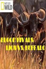 Watch National Geographic - Blood Rivals: Lion vs. Buffalo Solarmovie