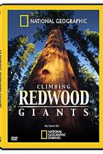 Watch National Geographic Explorer: Climbing Redwood Giants Solarmovie