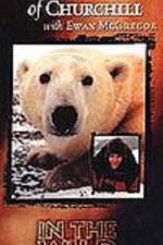 Watch The Polar Bears of Churchill with Ewan McGregor Solarmovie