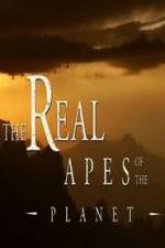 Watch The Real Apes of the Planet Solarmovie