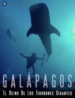 Watch Galapagos: Realm of Giant Sharks Solarmovie
