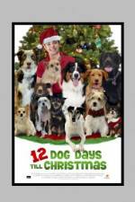 Watch 12 Dog Days of Christmas Solarmovie