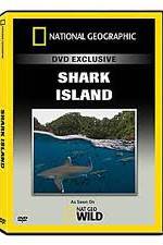 Watch National Geographic: Shark Island Solarmovie