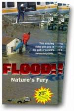 Watch Flood Solarmovie