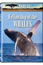 Watch Fellowship Of The Whales Solarmovie