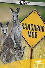 Watch Kangaroo Mob Solarmovie