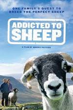 Watch Addicted to Sheep Solarmovie