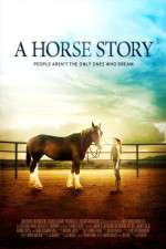 Watch A Horse Story Solarmovie