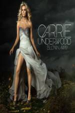 Watch Carrie Underwood: The Blown Away Tour Live Solarmovie
