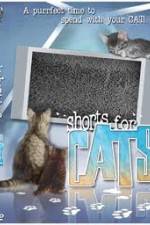Watch Shorts for Cats Solarmovie