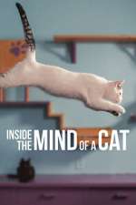 Watch Inside the Mind of a Cat Solarmovie