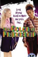 Watch The Color of Friendship Solarmovie