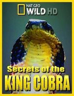 Watch Secrets of the King Cobra Solarmovie