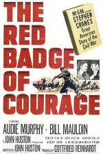 Watch The Red Badge of Courage Solarmovie