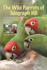 Watch The Wild Parrots of Telegraph Hill Solarmovie