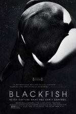 Watch Blackfish Solarmovie