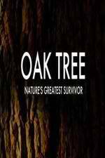 Watch Oak Tree Natures Greatest Survivor Solarmovie