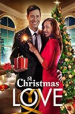 Watch A Christmas Love Solarmovie