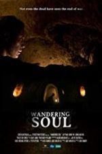 Watch Wandering Soul Solarmovie
