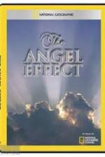 Watch National Geographic Explorer - The Angel Effect Solarmovie