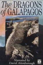 Watch The Dragons of Galapagos Solarmovie