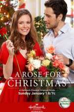Watch A Rose for Christmas Solarmovie