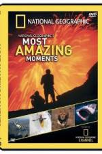 Watch National Geographic's Most Amazing Moments Solarmovie