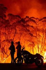 Watch Fire Fight Australia Solarmovie