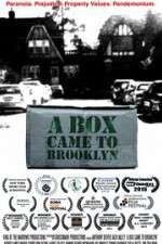 Watch A Box Came to Brooklyn Solarmovie