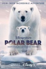 Watch Polar Bear Solarmovie