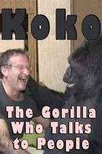 Watch Koko: The Gorilla Who Talks to People Solarmovie