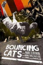 Watch Bouncing Cats Solarmovie