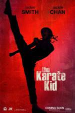 Watch The Karate Kid Solarmovie